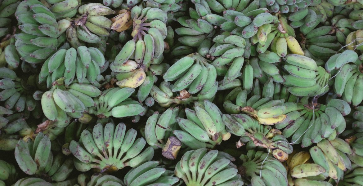 Aumenta el consumo general del plátano de Canarias