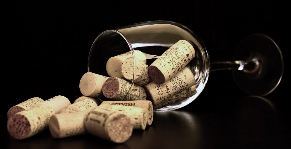 ¿Cómo elegir la copa de vino perfecta?