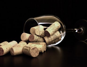 ¿Cómo elegir la copa de vino perfecta?