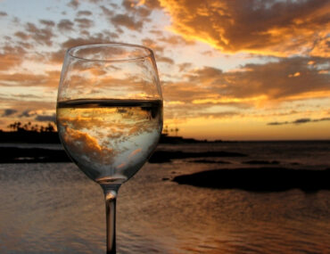 ¿Qué determina la calidad del vino?