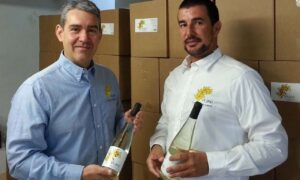 Il Nomade Di Vino y Bodegas Platé