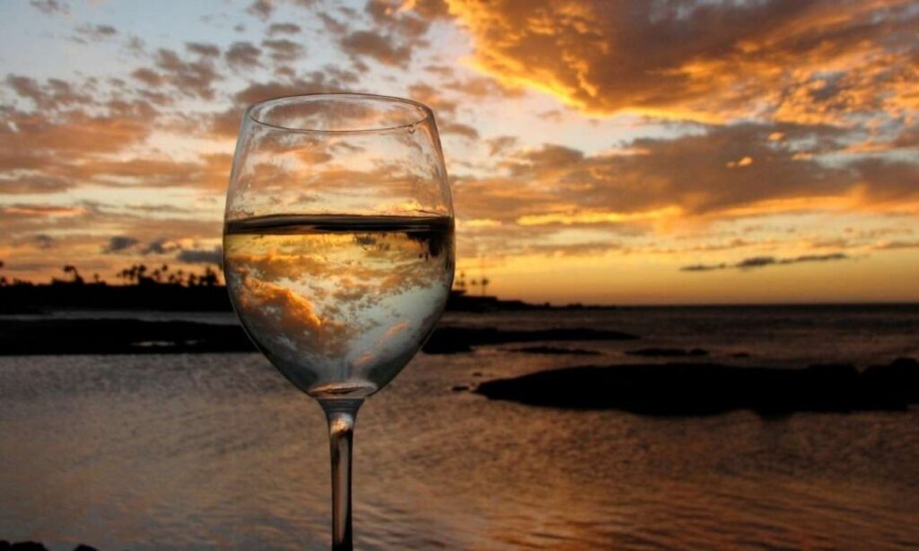 Calidad del Vino