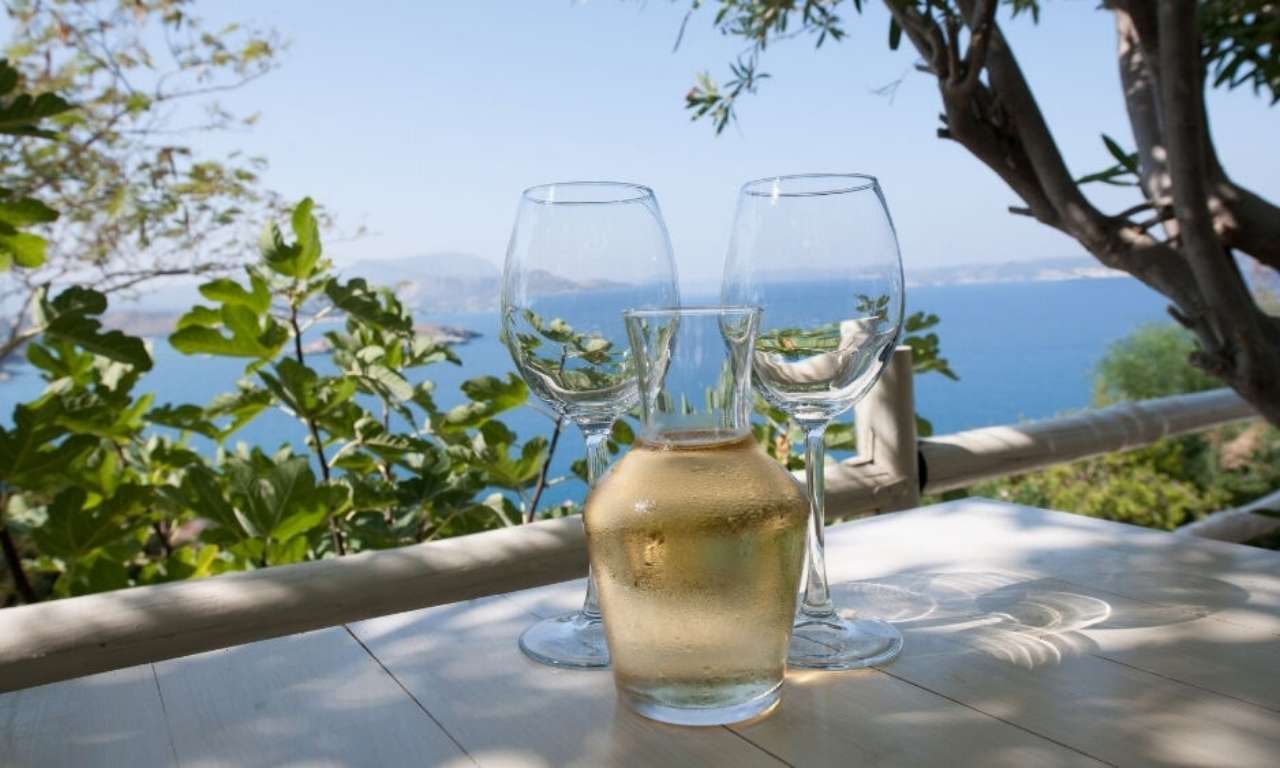 Como Usar el Decantador de Vino