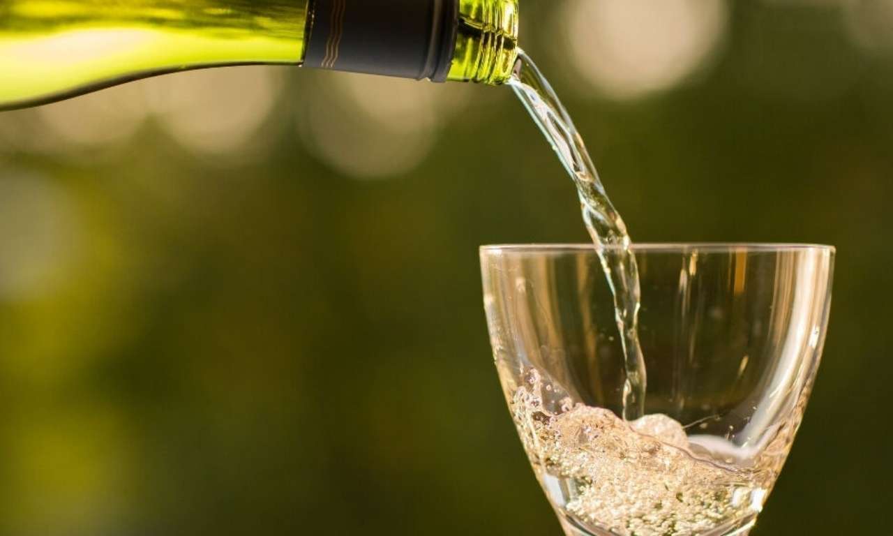 Consumo Moderado de Vino