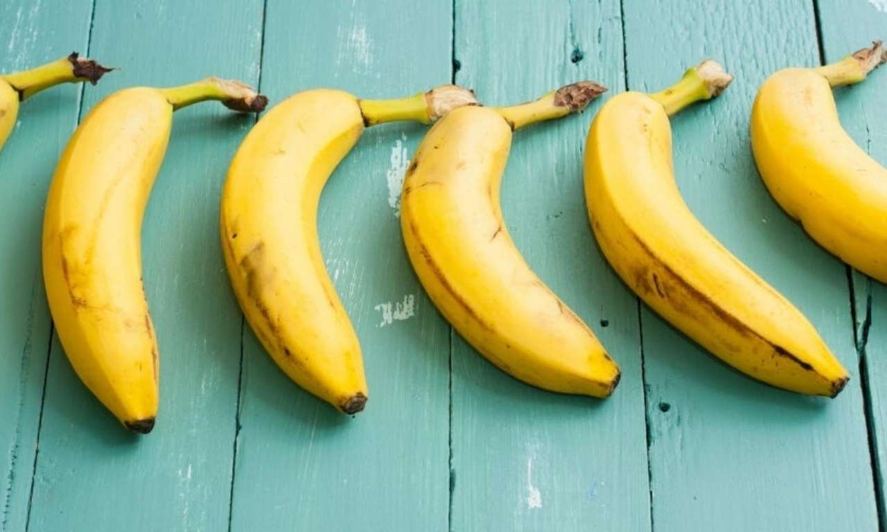 Diferenciar un Platano de una Banana Diferenciar un Platano de una Banana