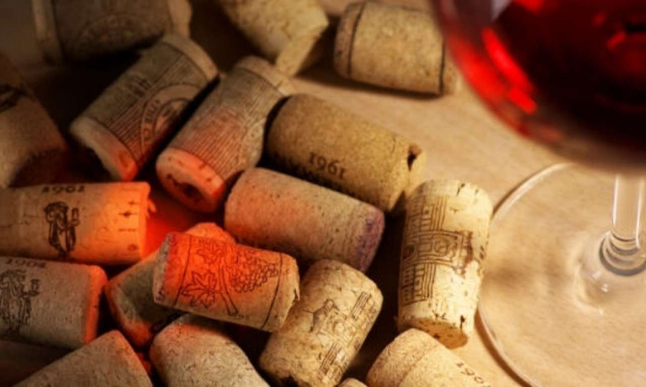 Diferentes Tipos de Corcho