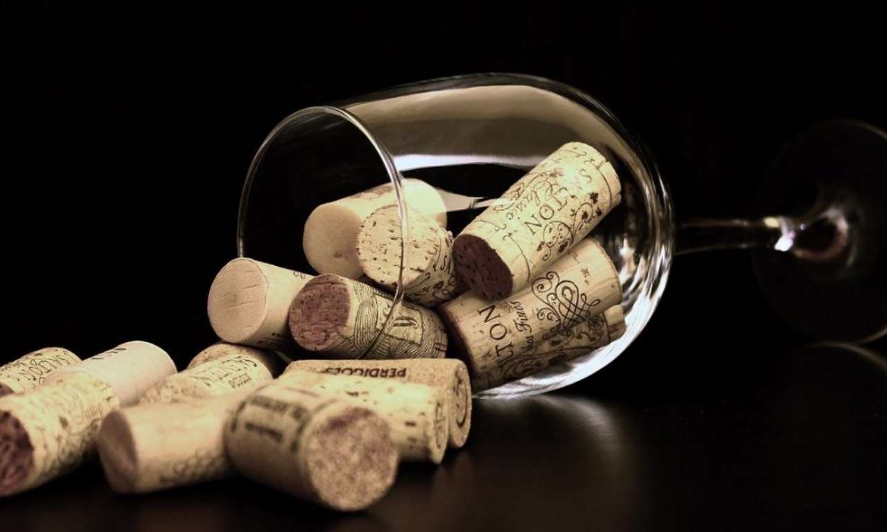 Elegir la Copa de Vino Perfecta