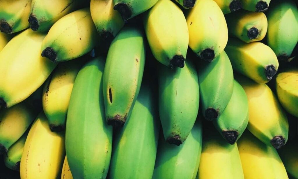 Fuente de Felicidad en Forma de Aminoacido