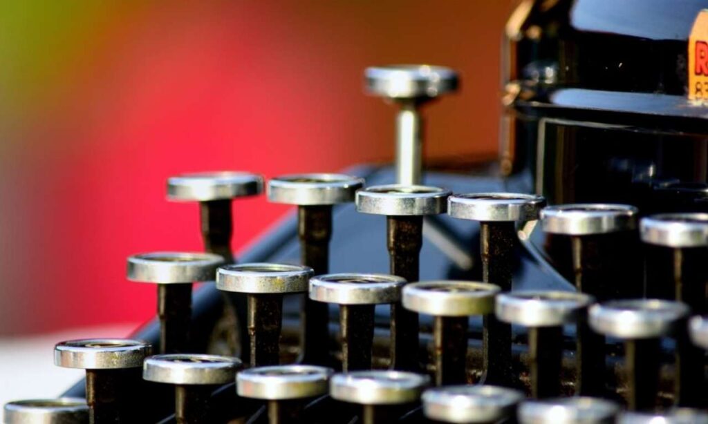Gatos Mejores Amigos de los Escritores