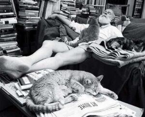 Gatos y Escritores - Bodegas Platé