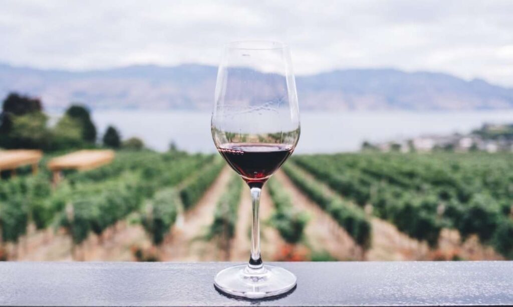 Una Copa de Vino al Día Es Buena