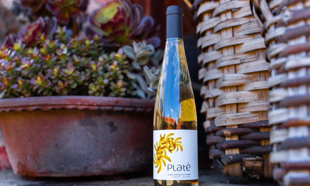 Productos Tipicos Canarios